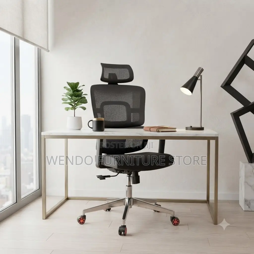 Office Chair; Orthopedic DDx5 Office Chairs