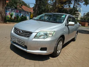 Toyota Axio 2010 Gray