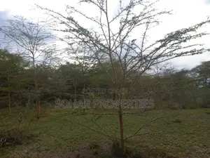Moi South Rd, Lake Naivasha - Prime 15 Acres Available for Sale.