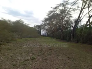 Moi South Rd, Lake Naivasha - Prime 15 Acres Available for Sale.