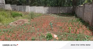 1/4 Acre Plot for Sale in Kerarapon-Ngong