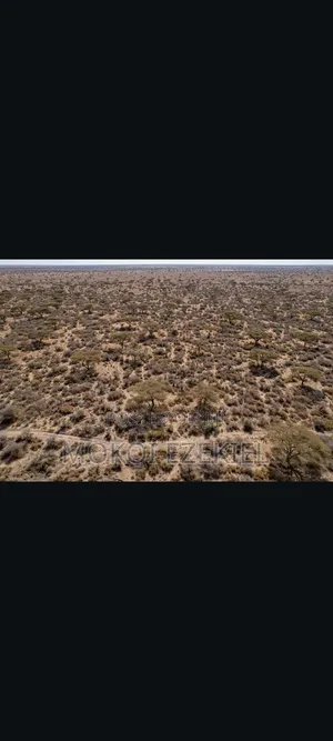 26 and 70 Acres of Land for Sale