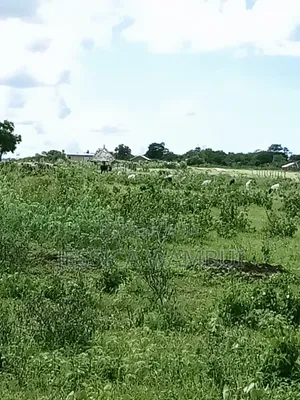 Kakoneni Plots for Sale