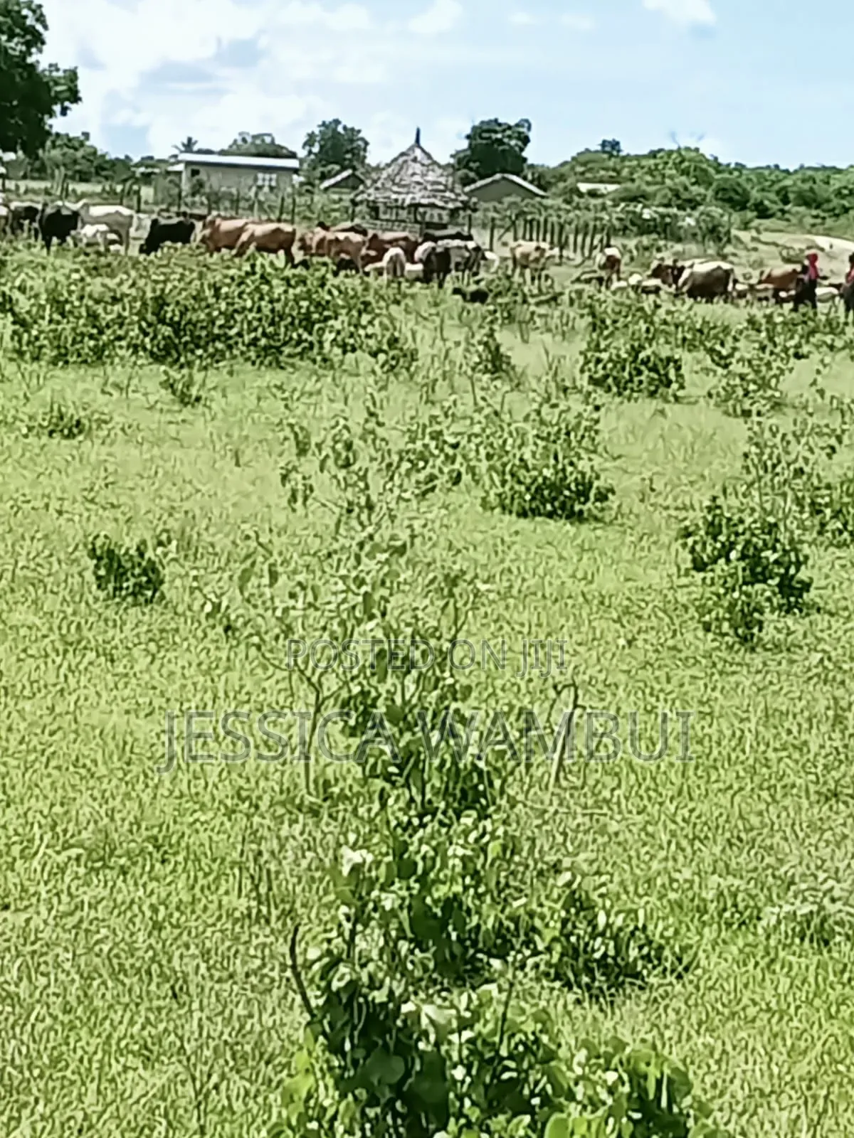 Kakoneni Plots for Sale