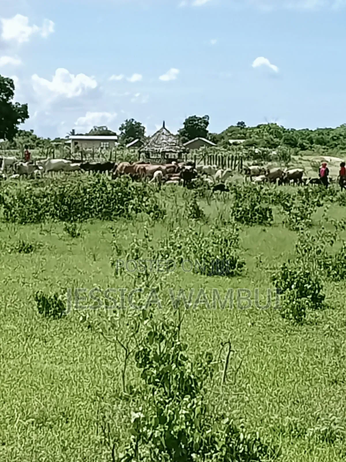 Kakoneni Plots for Sale