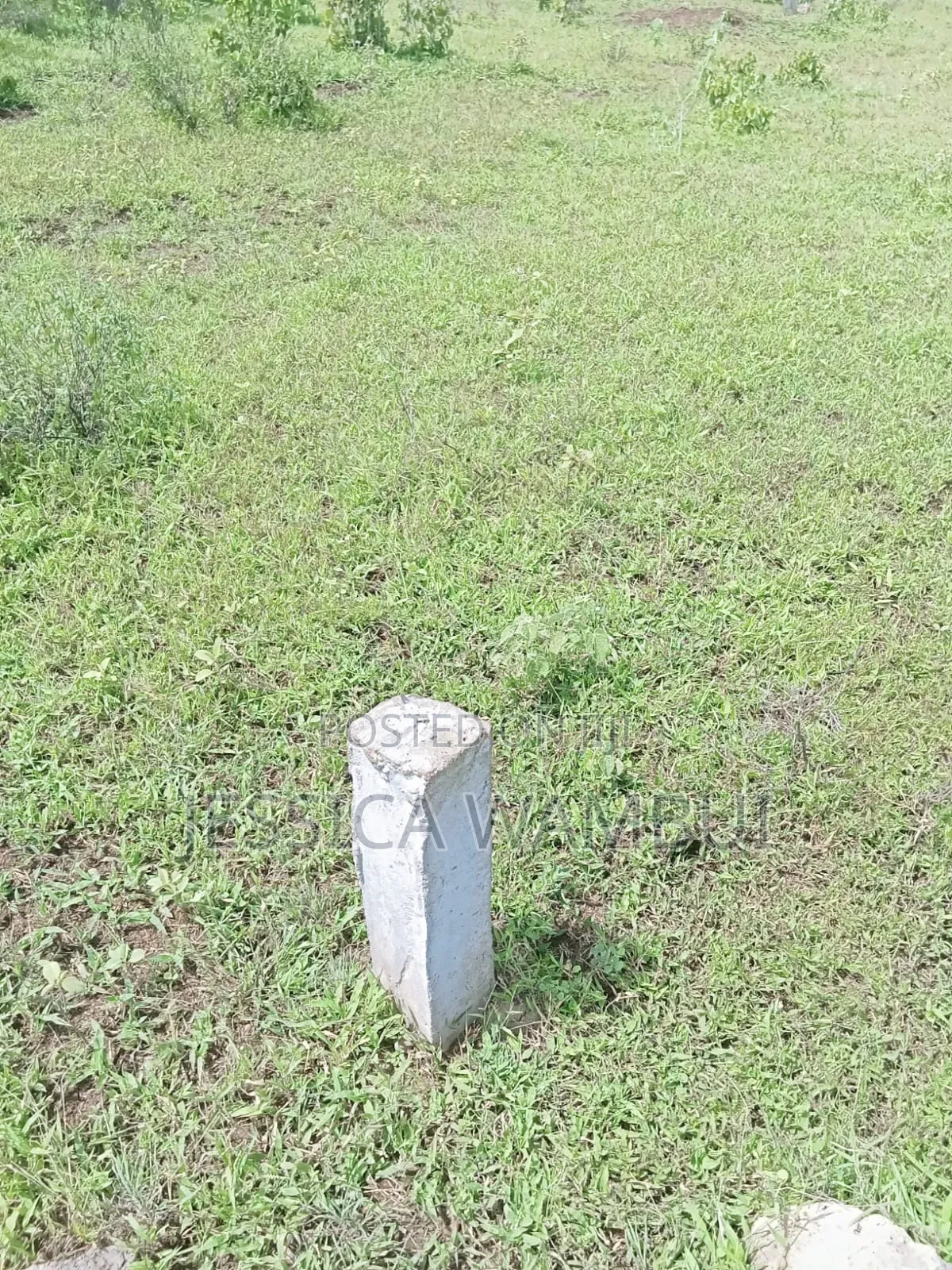 Kakoneni Plots for Sale