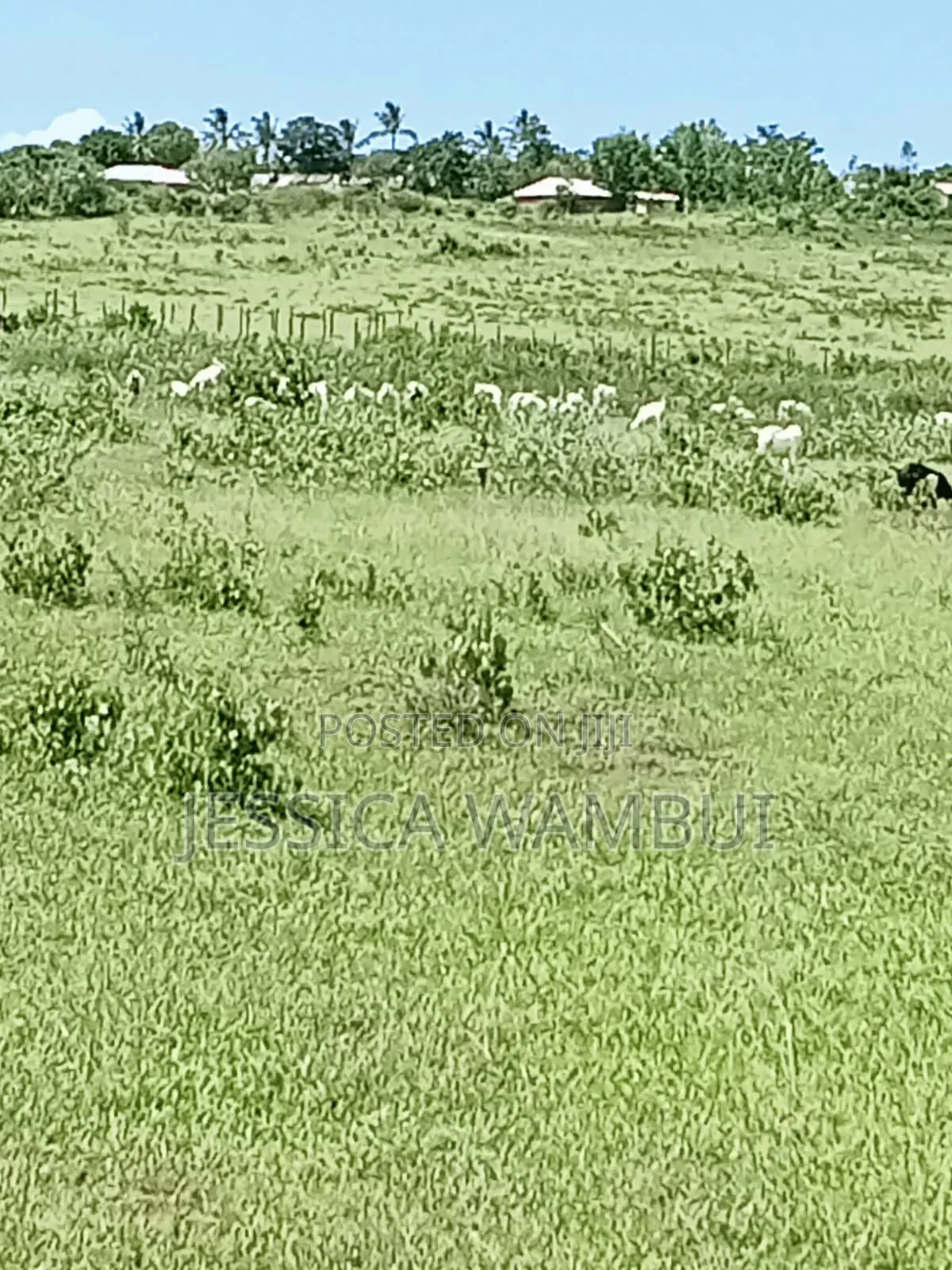 Kakoneni Plots for Sale