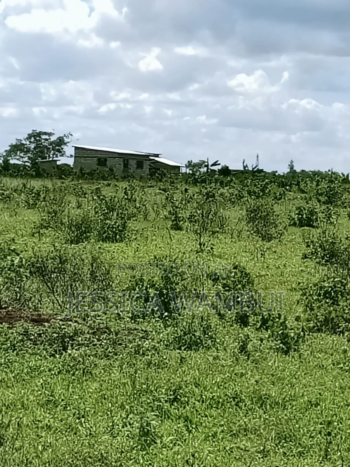 Kakoneni Plots for Sale