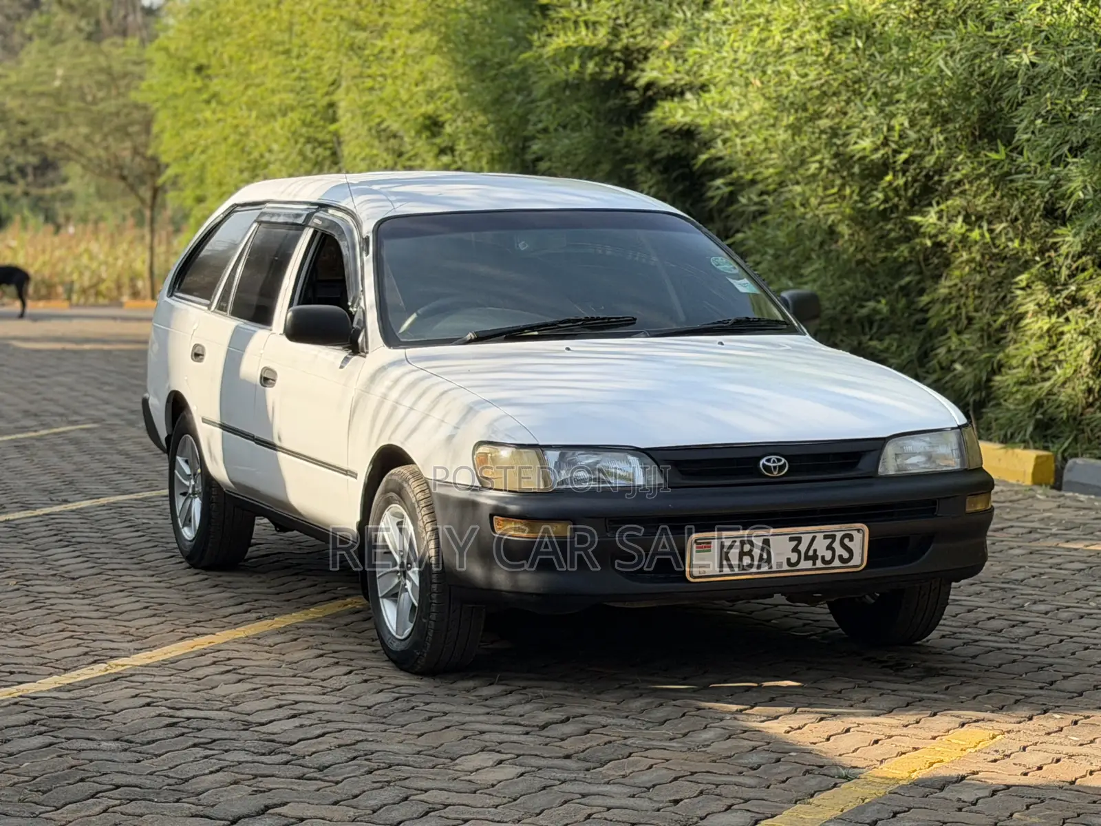 Toyota Corolla 2002 White