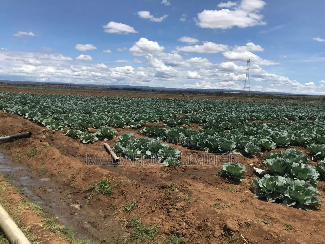 4000 Acres of Land Laikipia County