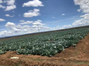 4000 Acres of Land Laikipia County