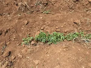 4000 Acres of Land Laikipia County