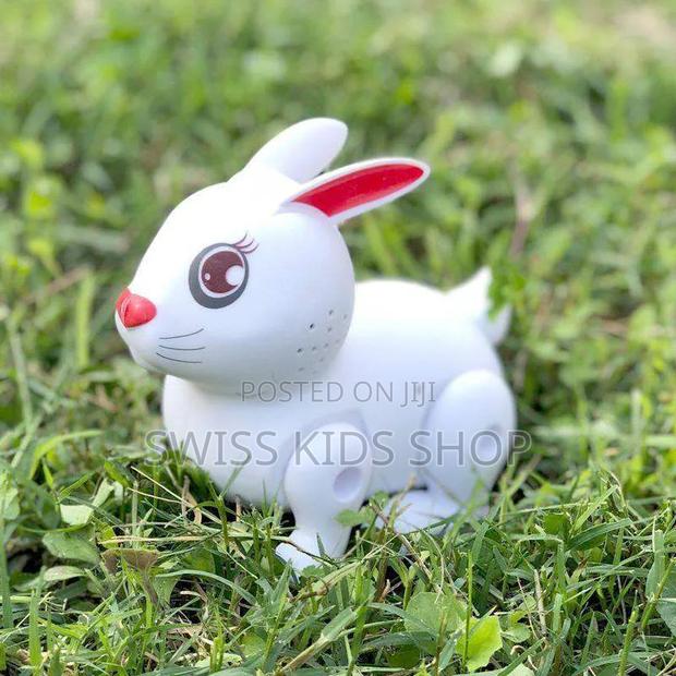 Bunny / Rabbit Battery Toy