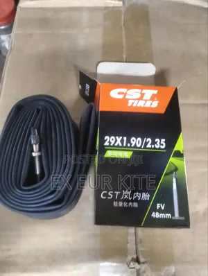 CST 29er Tube Presta Valve