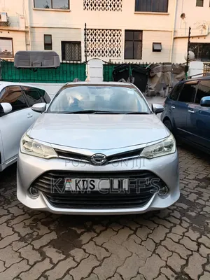 Toyota Corolla Fielder 2017 Silver