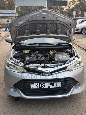 Toyota Corolla Fielder 2017 Silver
