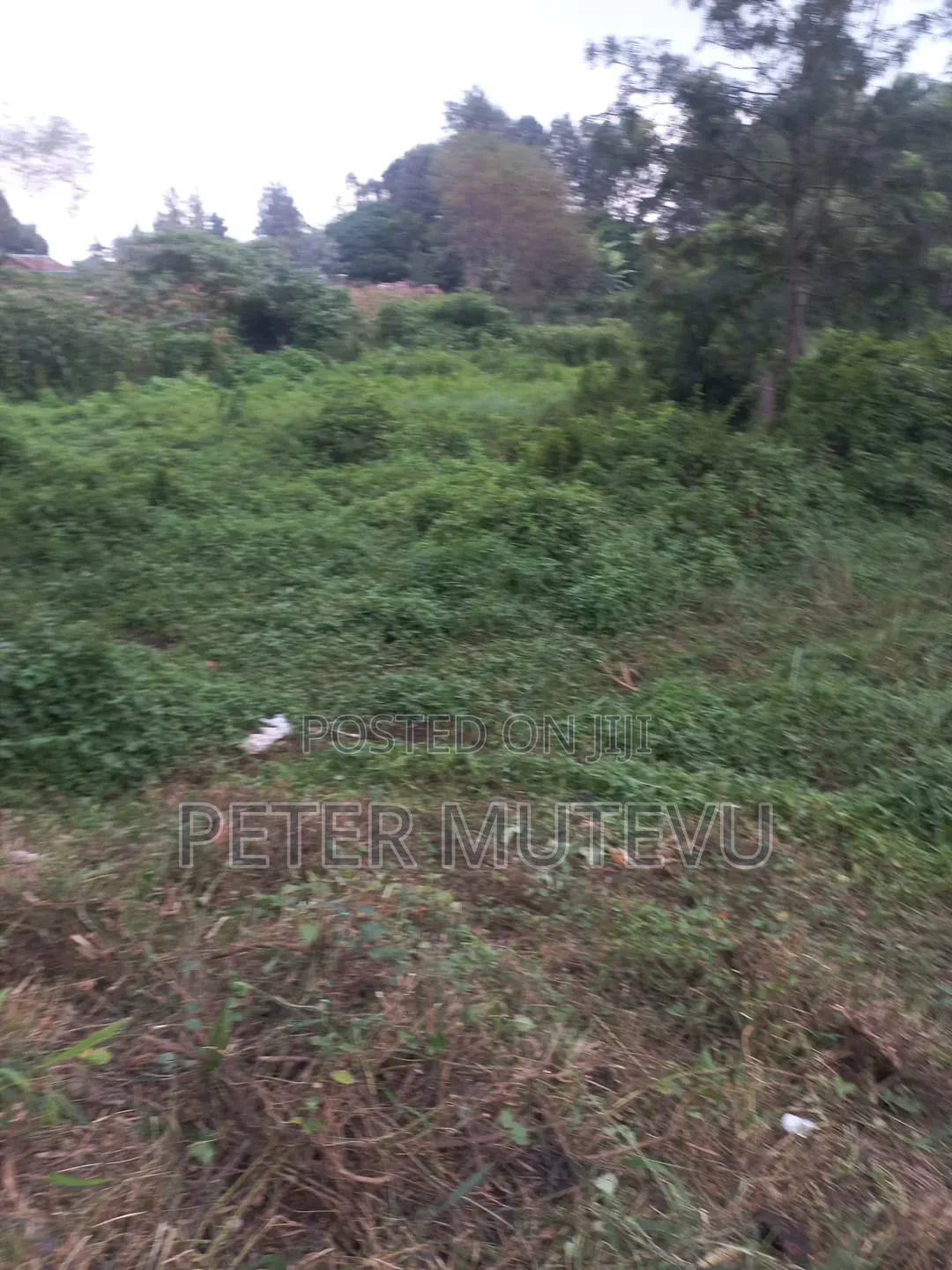 3 Pieces of Half Acre Land for Sale