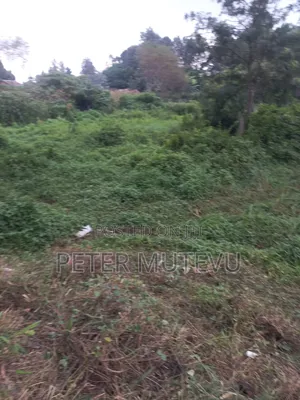3 Pieces of Half Acre Land for Sale