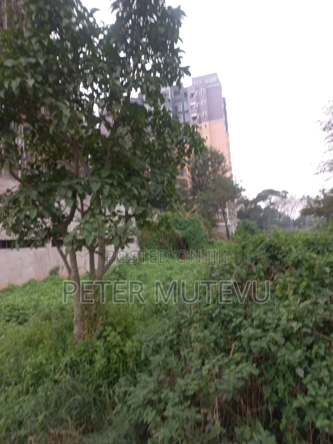 3 Pieces of Half Acre Land for Sale