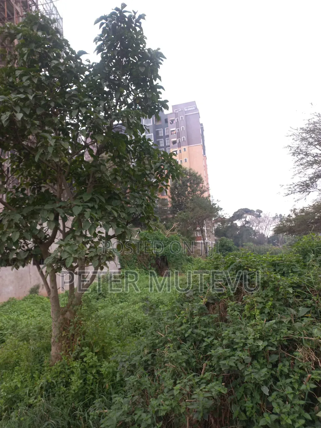 3 Pieces of Half Acre Land for Sale