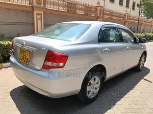Toyota Axio 2010 Gray