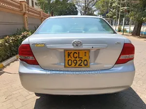 Toyota Axio 2010 Gray