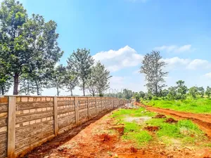 Juja Residential Land for Sale