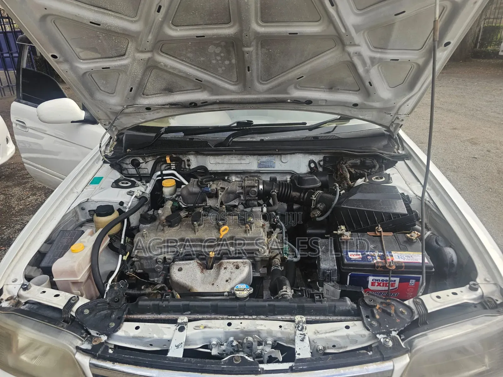 Nissan Bluebird 2003 White