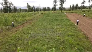 An Eighth Acre