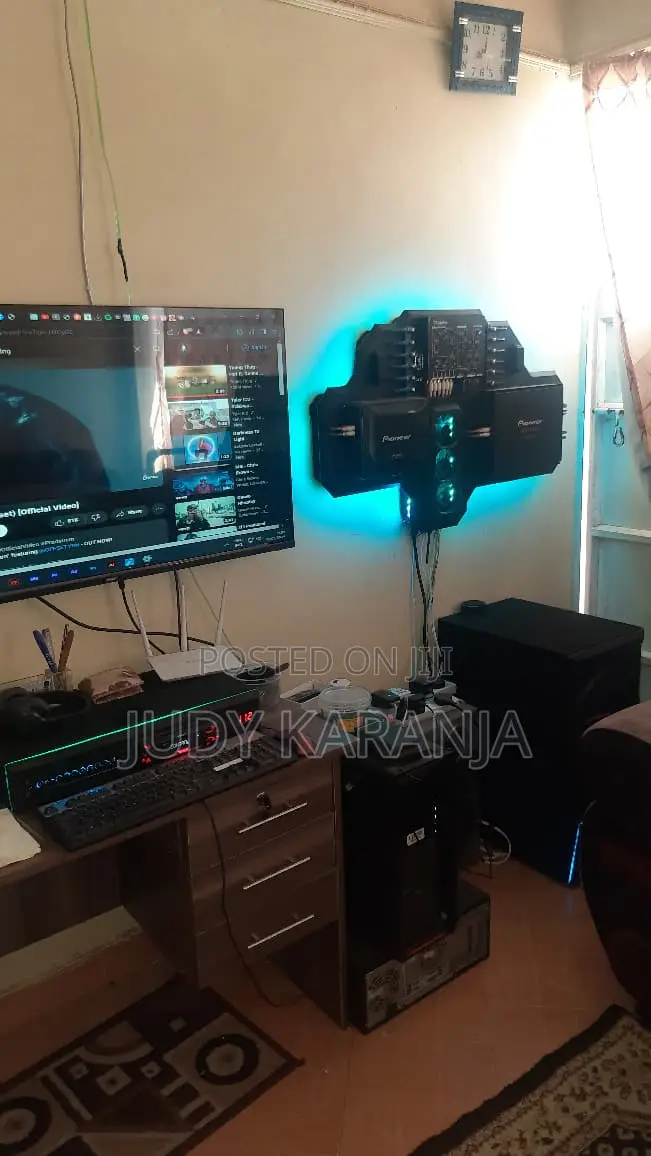 Customized Audio System