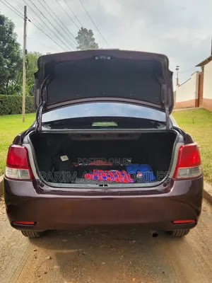 Toyota Axio 2012 Maroon