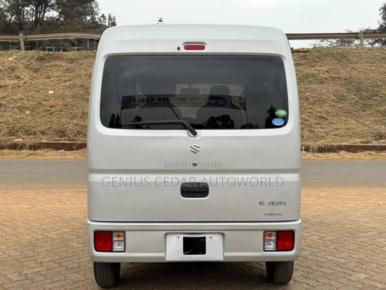 Suzuki EV 2019