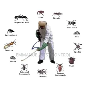 Pest Control Fumigation Mombasa Kenya