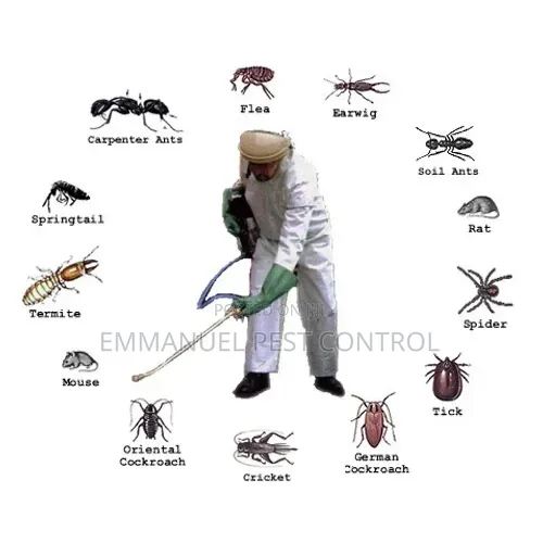 Pest Control Fumigation Mombasa Kenya