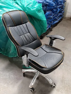 Executive Office Chair _Recliner High Back
