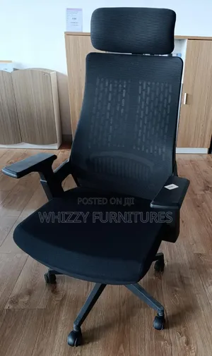 Lux Elgonomic Office Chair