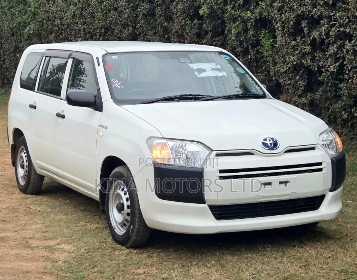 Toyota Succeed 2019 Pearl