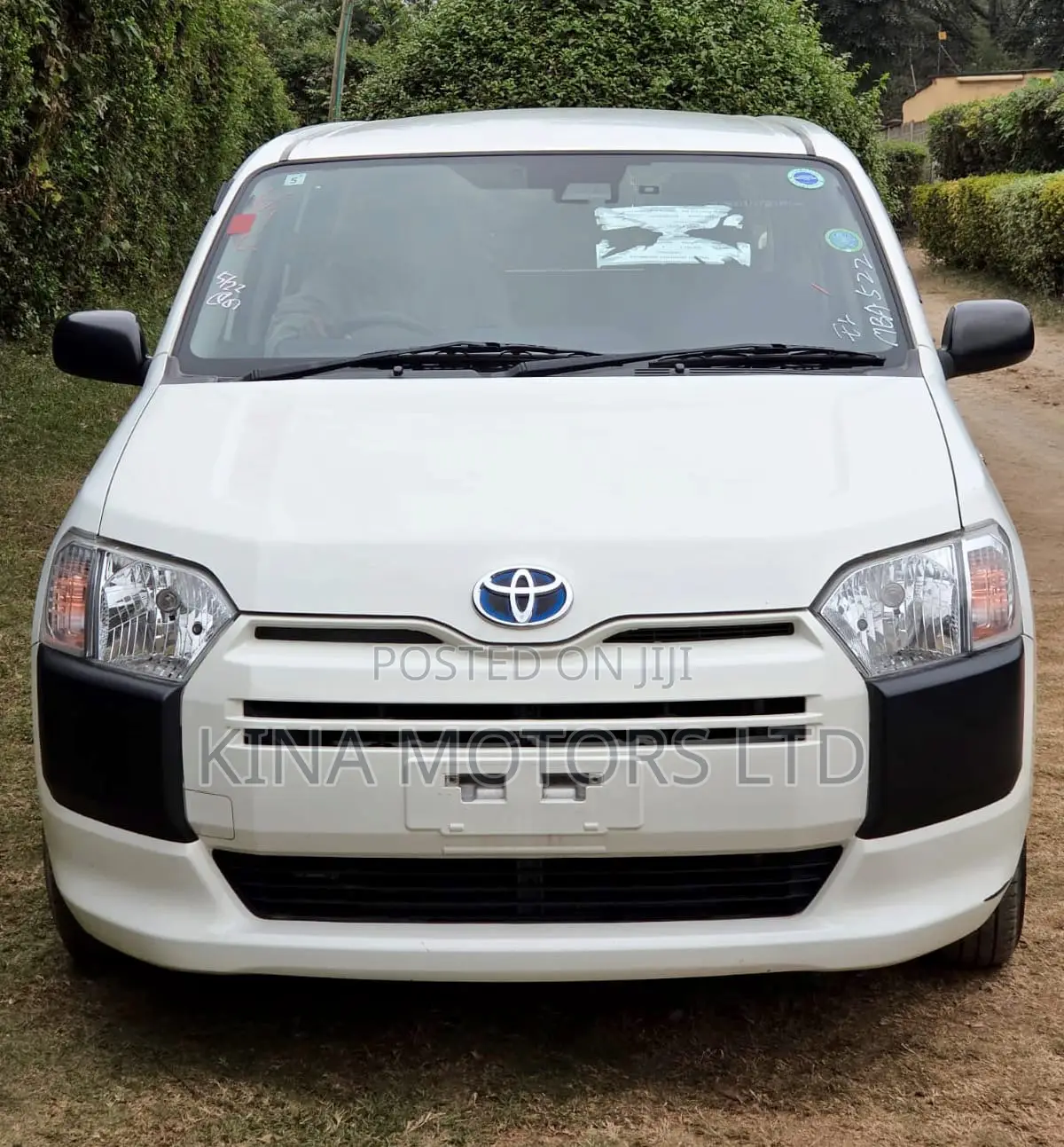 Toyota Succeed 2019 Pearl