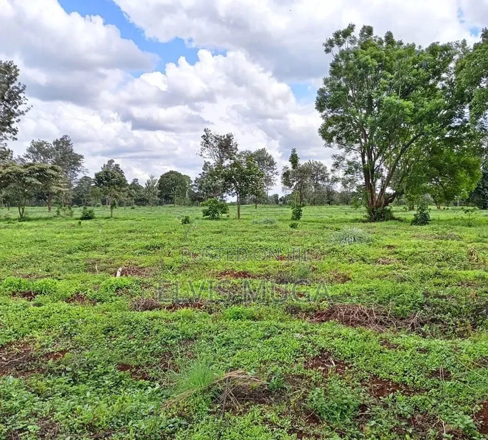 4 Acres Ukunda Land in Ukunda Diani Near Kona Ya Musa for Sale