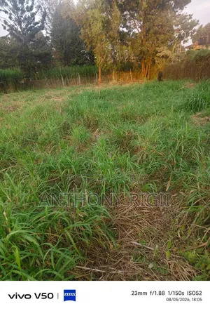 Prime 100×100 Residential / Commercial Land for Sale – Kikuyu Town