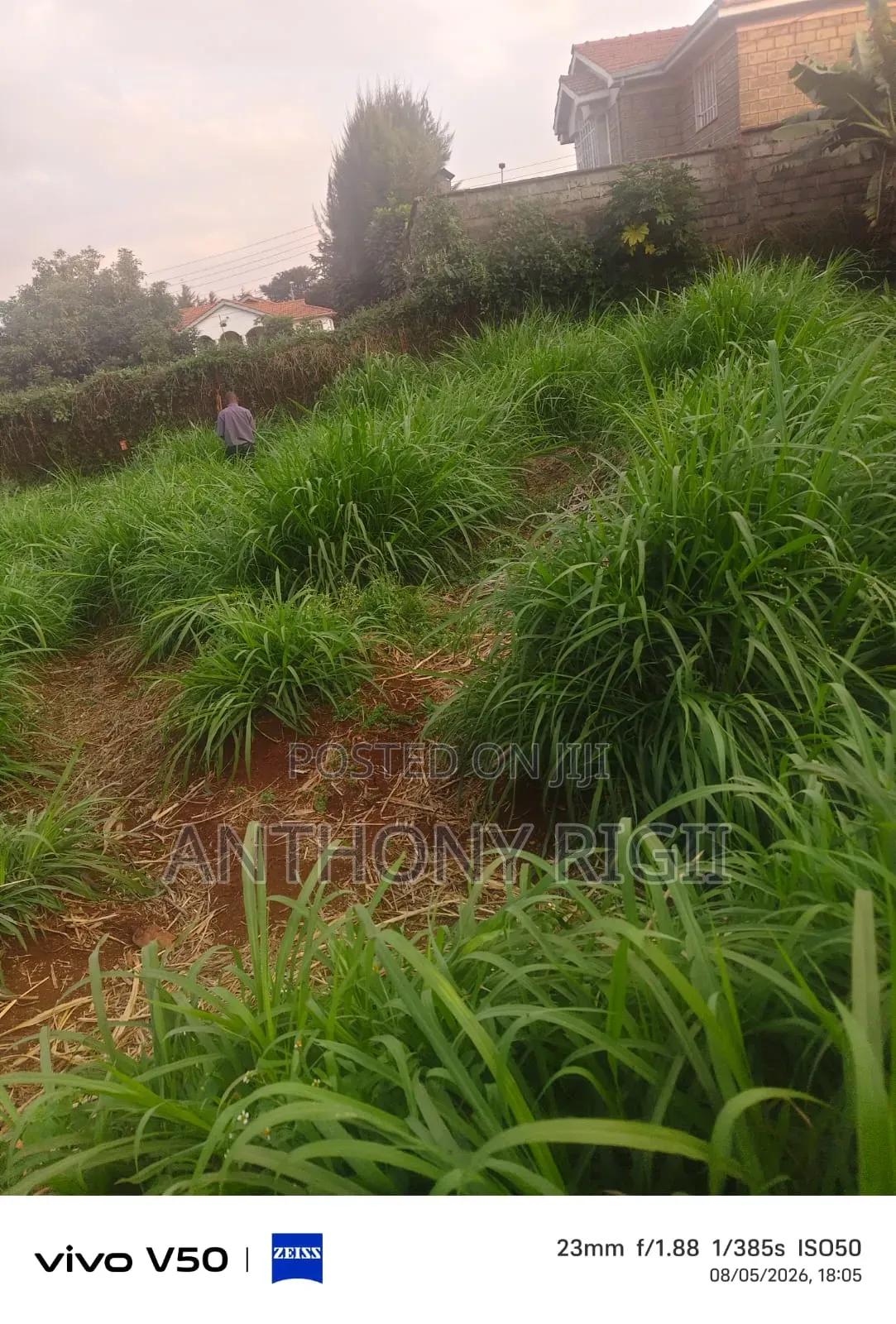 Prime 100×100 Residential / Commercial Land for Sale – Kikuyu Town