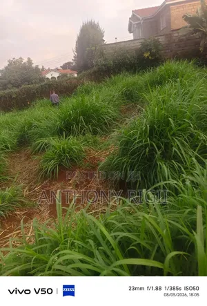Prime 100×100 Residential / Commercial Land for Sale – Kikuyu Town