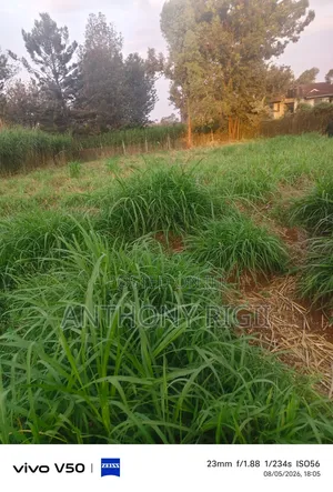 Prime 100×100 Residential / Commercial Land for Sale – Kikuyu Town