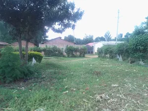 Two Plots for Sale in Bungoma Town