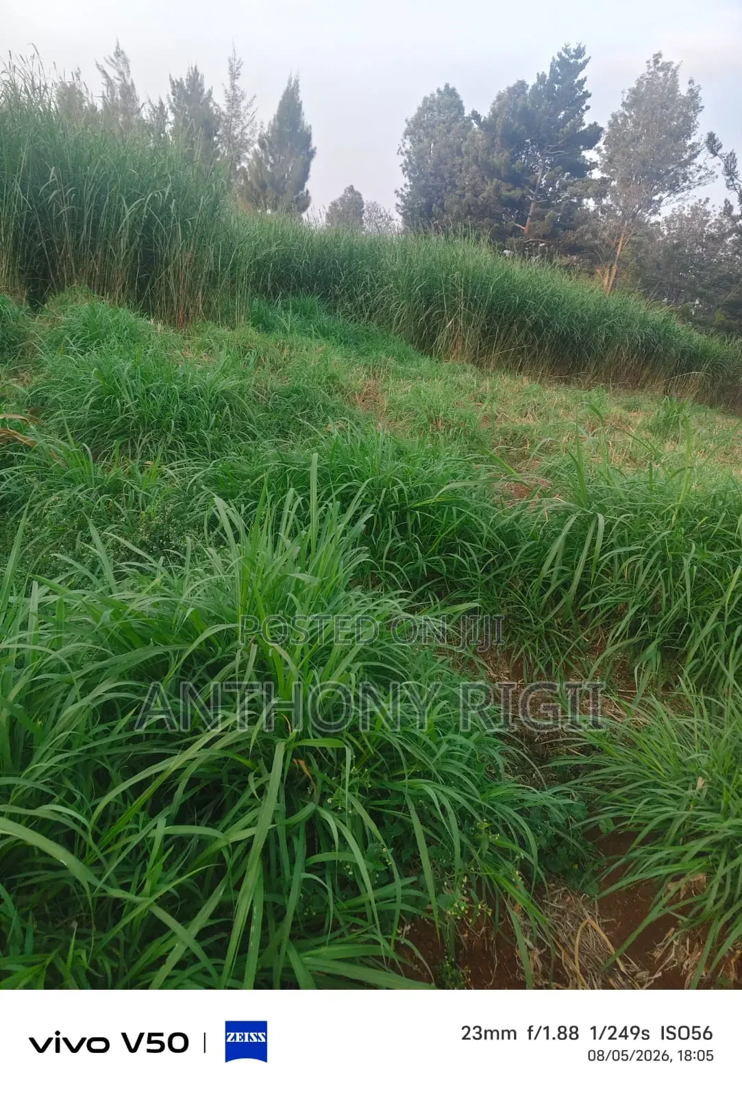 Prime 100×100 Residential / Commercial Land for Sale – Kikuyu Town