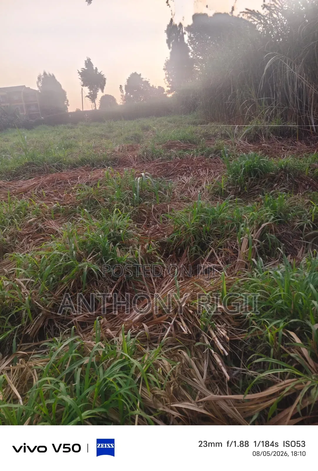 Prime 100×100 Residential / Commercial Land for Sale – Kikuyu Town