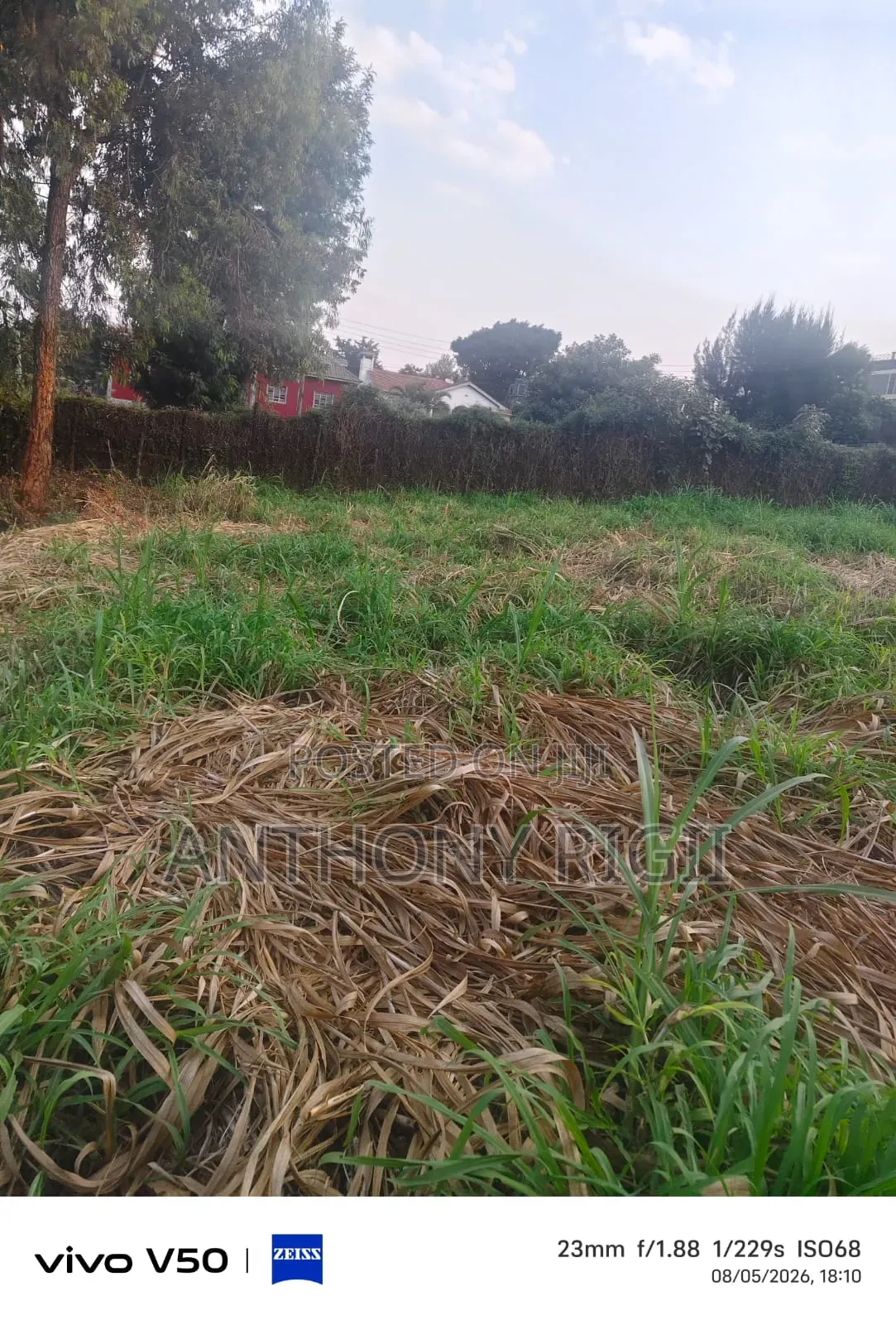 Prime 100×100 Residential / Commercial Land for Sale – Kikuyu Town