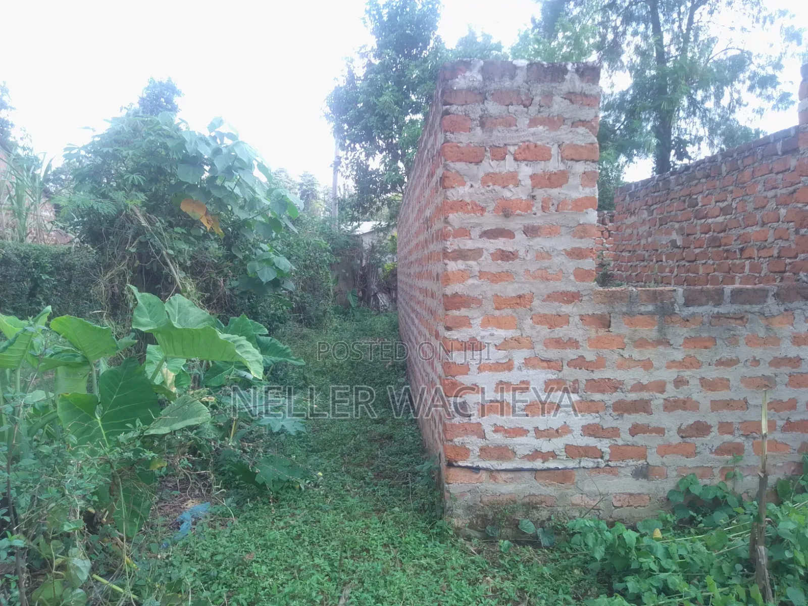 Two Plots for Sale in Bungoma Town