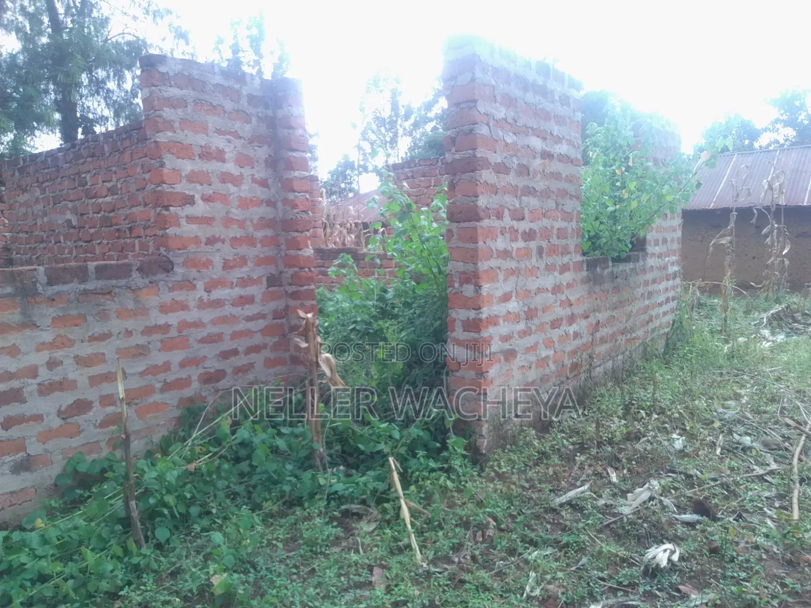 Two Plots for Sale in Bungoma Town