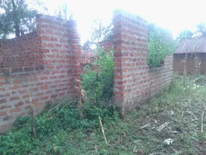 Two Plots for Sale in Bungoma Town